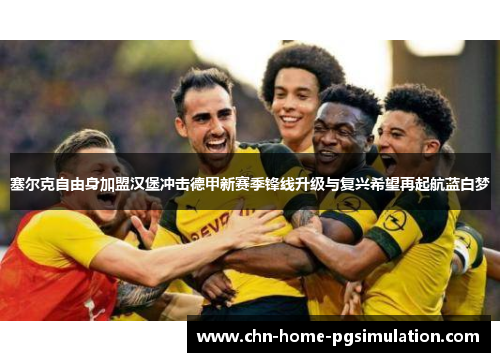 塞尔克自由身加盟汉堡冲击德甲新赛季锋线升级与复兴希望再起航蓝白梦